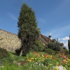 Faversham, Kent