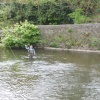 Fisherman in River Derwent