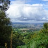 Wellington