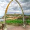 Whitby Whalebones