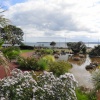 Dawlish, Devon
