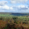 Blackborough Common