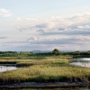 Tetney Marshes