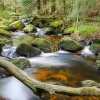 Becka Brook - Dartmoor National Park