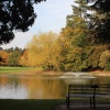 Bedford Park