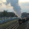 Duchess of Sutherland