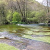 Lovely walking trail along water and green at Monsal Head