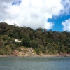 Castle Ruin on the riverbank at Dartmouth