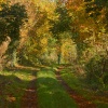 Farm Track near Brill, Buckinghamshire