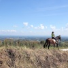 Downs rider