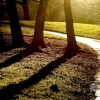 Brough Park, Leek, Staffordshire