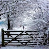 Cockers lodge .. Oswaldtwistle