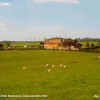 Pigeon Leaze Field, Little Badminton, Gloucestershire 2012
