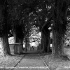St Mary Magdelene Churchyard, Tormarton,  Gloucestershire 2012