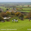 Beaufort Hunt, Hawkesbury Banks, Gloucestershire 2014