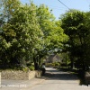 The Street, Alderton, Wiltshire 2012