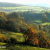 St Catherine's Valley, nr Marshfield, Gloucestershre 2009