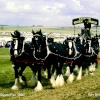 Great Dorset Steam Fair, Tarrant Hinton, Dorset 1990
