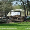 Lambing Pen !! Old Sodbury, Gloucestershire 2017