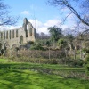 Jervaulx Abbey, Masham