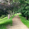 The Bishops Park, Bishop Auckland