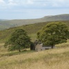 Derelict Cottage at Gib Tor near Flash, Staffordshire Moorlands