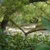 River Rother at Catcliffe
