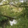 River Rother at Catcliffe
