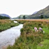 Warnscale Beck flowing into Buttermere