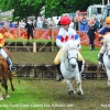 Pony Racing, Castle Combe Steam Rally & Country Fair, Wiltshire 2016