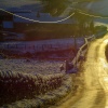 Road to the Caldon Canal at Denford, near Longsdon, Staffordshire