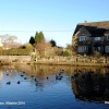 The Village Pond, Alderton, Wiltshire 2014