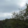 WHITE NANCY