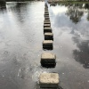 Stepping stones in bolton abbey