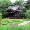kew gardens