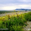 Beach, nr Dunster, Somerset 1991