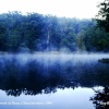 Early Morning Mist, Cannop Ponds, nr Coleford, Forest of Dean, Gloucestershire 1994