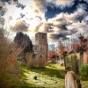 The Church
