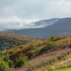 Moorland at Flash, Staffordshire with the Burning Roaches