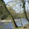 River Ure at West Tanfield
