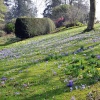 Forde Abbey, Somerset