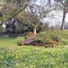 Forde Abbey, Somerset