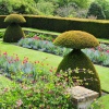 Hinton Ampner Garden