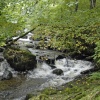 Aira Beck, Cumbria