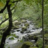 Aira Beck, Cumbria