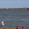 Orford Quay, Suffolk