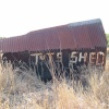 Tut's Shed