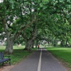 Budleigh Salteton's Green