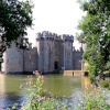 Bodiam through trees