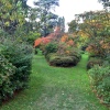 Ramster Gardens,  Chiddingfold